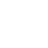 ikona